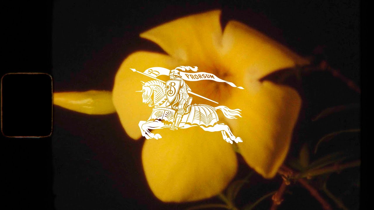 The Rhythms That Bind: A Journey Through Music and Cultural Identity in Burberry Summer 2024