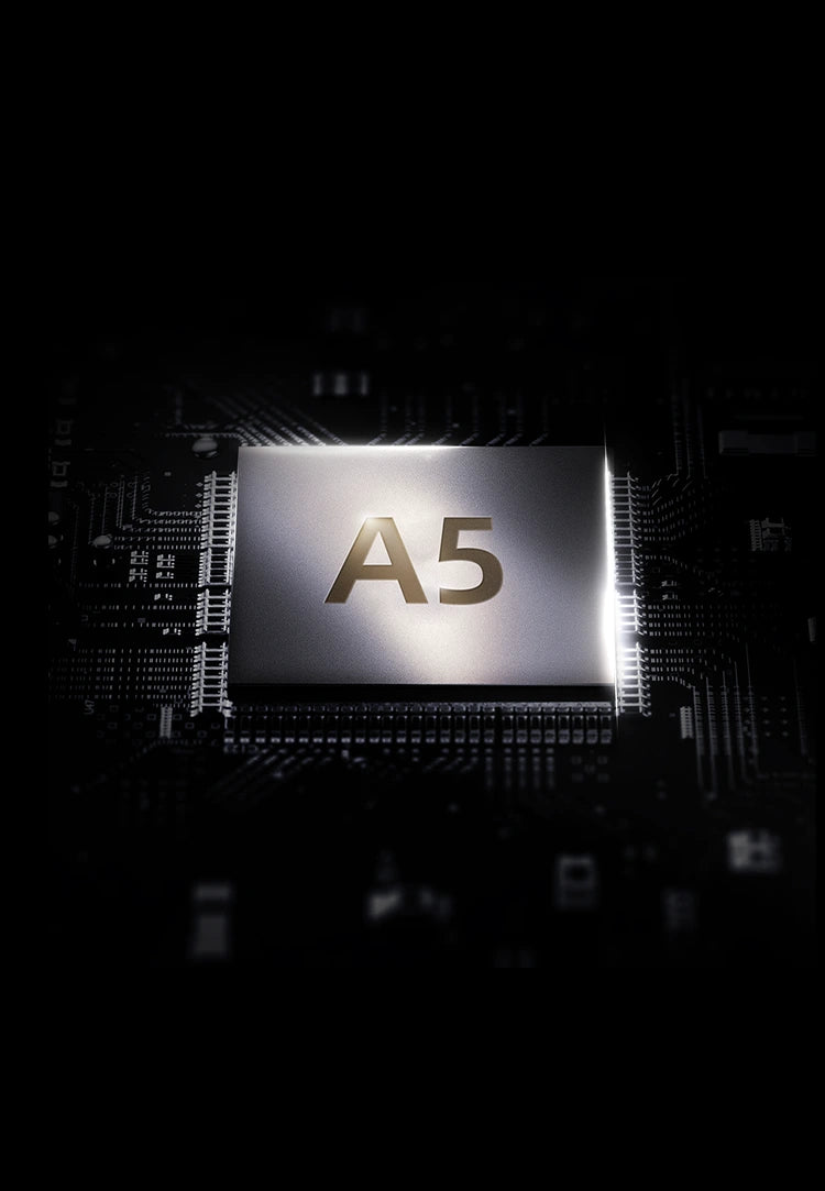 Agent Q Calfskin Collector's Edition