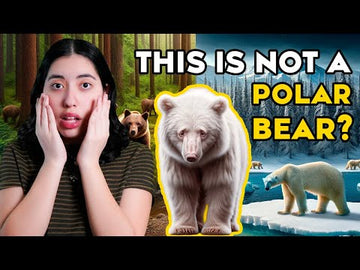 Joey: The Albino Brown Bear - A Symbol of Environmental Awareness