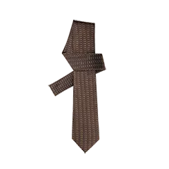 BF Classic V Monogram Tie for Men - Brown